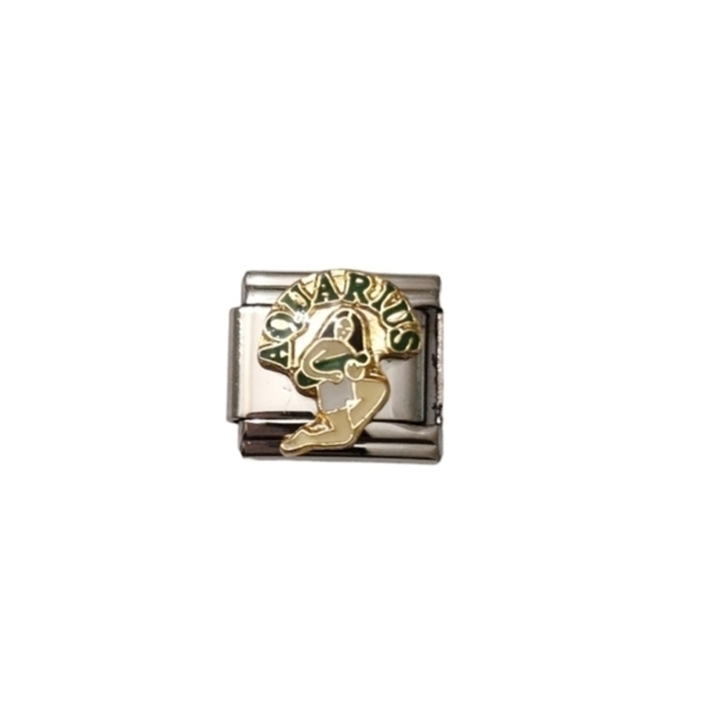 Italian Charmlink for Italian Charm Bracelet Aquarius Horoscope‎ 9mm